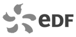 EDF logo small